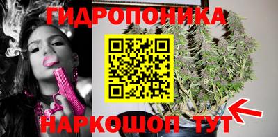 кокс Ливны