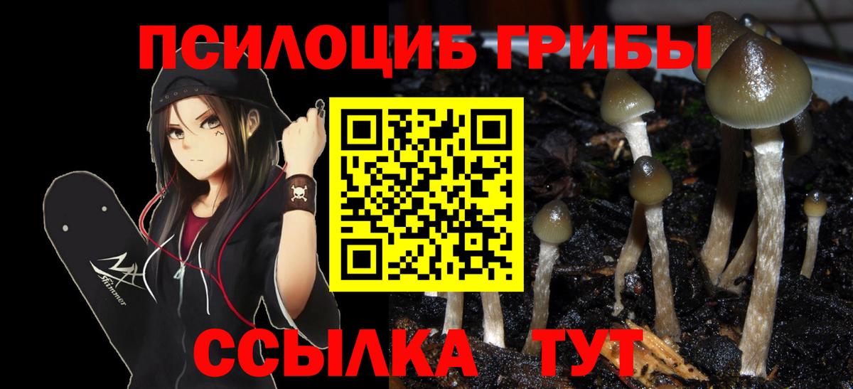 Галлюциногенные грибы мицелий  Псилоцибиновые грибы мицелий  Йошкар-Ола  Вход с VPN 